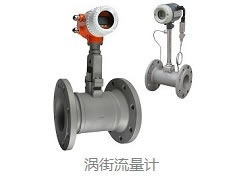 渦街流量計(jì)